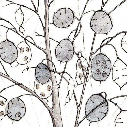 FP5128 image