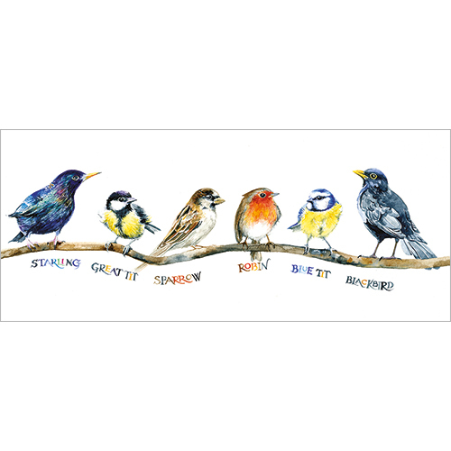 FP8012 image
