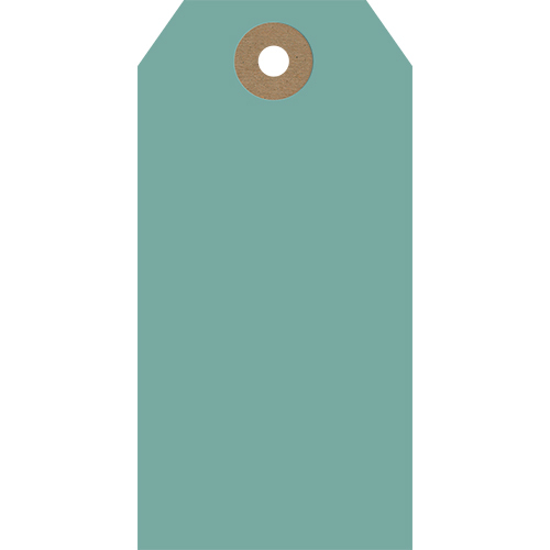 GT001 image