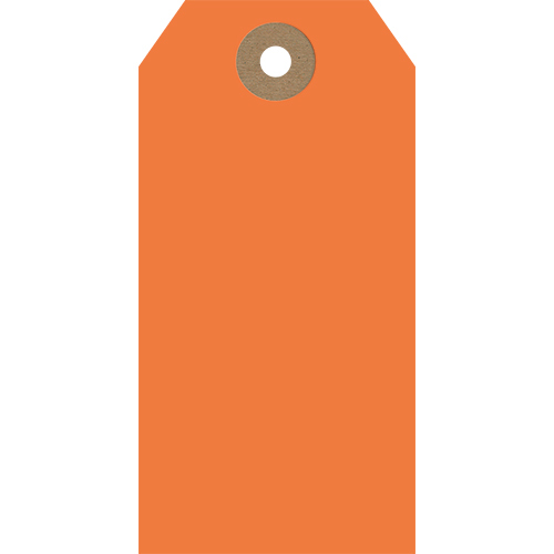 GT005 image