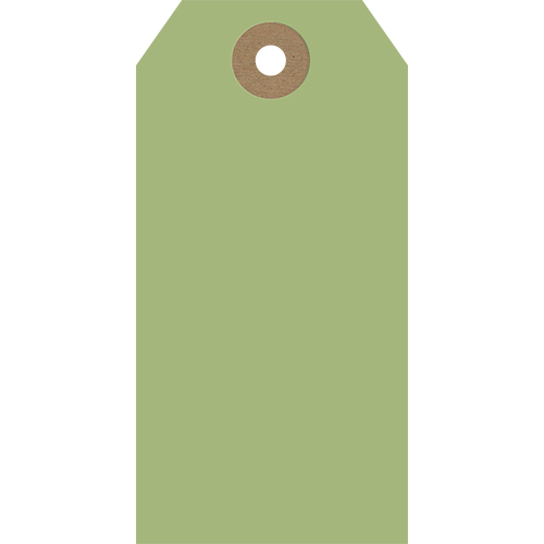 GT007 image