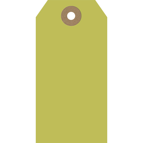 GT009 image