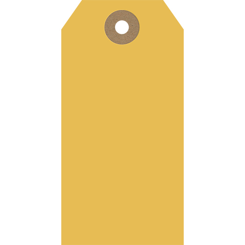 GT010 image