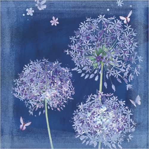 WS379 image