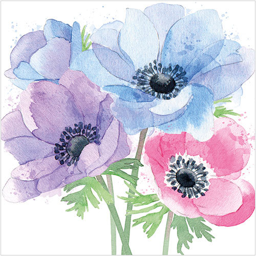 WS498 image